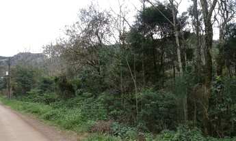 Imagem: AREA RURAL em Nova Petrópolis - RS, Linha