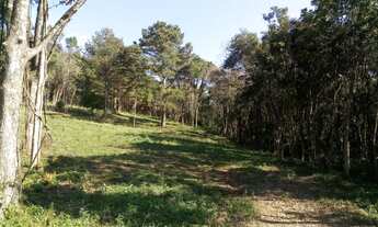 Imagem: AREA RURAL em Nova Petrópolis - RS, Vila