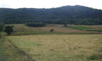 Imagem 3: SITIO RURAL em Nova Petrópolis - RS, Linha Imperial