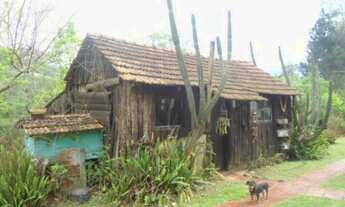 Imagem 5: CHACARA RURAL em Picada Café - RS, Vila Joaneta