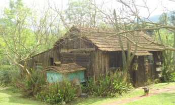 Imagem 6: CHACARA RURAL em Picada Café - RS, Vila Joaneta