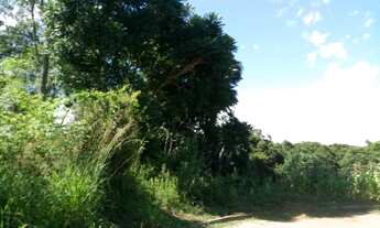 Imagem 3: TERRENO RESIDENCIAL em Nova Petrópolis - RS, Vale Verde