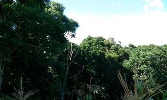 Imagem 6: TERRENO RESIDENCIAL em Nova Petrópolis - RS, Vale Verde