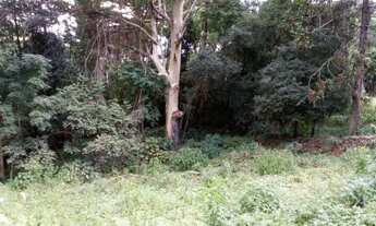 Imagem: TERRENO RESIDENCIAL em Nova Petrópolis