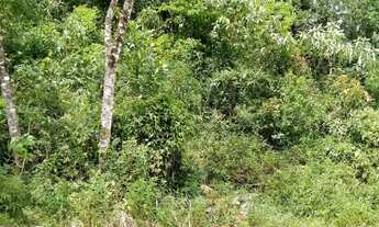 Imagem 2: TERRENO RESIDENCIAL em Nova Petrópolis - RS, Linha Imperial