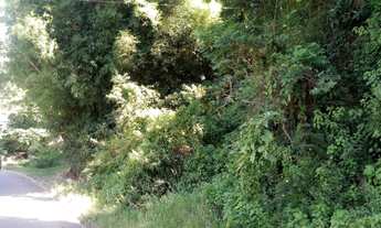 Imagem 1: TERRENO RESIDENCIAL em Nova Petrópolis - RS, Pia