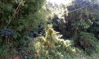 Imagem 2: TERRENO RESIDENCIAL em Nova Petrópolis - RS, Pia