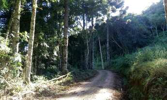 Imagem 4: AREA RURAL em Nova Petrópolis - RS, Linha Imperial