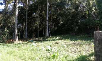 Imagem 3: Terreno RESIDENCIAL em Nova Petrópolis - RS, Vale Verde