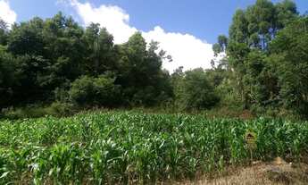 Imagem: TERRENO RESIDENCIAL em Nova Petrópolis