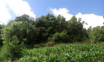 Imagem 3: TERRENO RESIDENCIAL em Nova Petrópolis - RS, Germânia