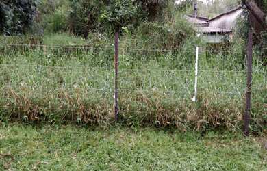 Imagem 2: TERRENO COMERCIAL em PORTO ALEGRE - RS, ESPÍRITO SANTO