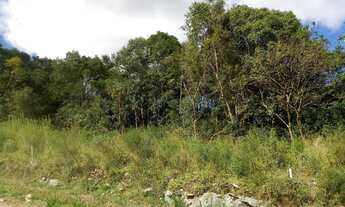 Imagem 2: Terreno à Venda Linha Imperial Nova Petrópolis