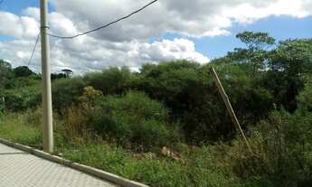 Imagem 2: TERRENO RESIDENCIAL em Nova Petrópolis - RS, Linha Imperial