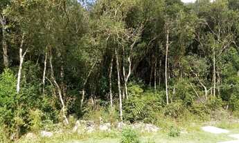 Imagem 2: TERRENO RESIDENCIAL em Nova Petrópolis - RS, Linha Imperial