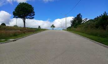 Imagem 4: TERRENO RESIDENCIAL em Nova Petrópolis - RS, Linha Imperial
