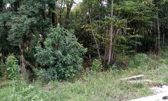 Imagem 2: TERRENO RESIDENCIAL em Nova Petrópolis - RS, Linha Imperial