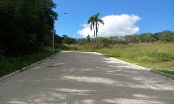 Imagem 4: TERRENO RESIDENCIAL em Nova Petrópolis - RS, Linha Imperial