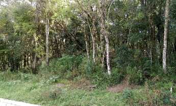 Imagem: TERRENO RESIDENCIAL em Nova Petrópolis