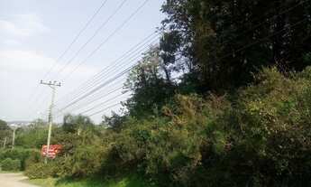Imagem 3: TERRENO COMERCIAL em Nova Petrópolis - RS, Morro Korb