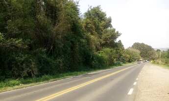 Imagem 5: TERRENO COMERCIAL em Nova Petrópolis - RS, Morro Korb