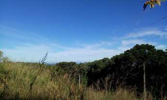 Imagem: AREA RURAL em NOVA PETRÓPOLIS - RS, Linha