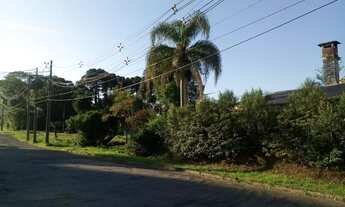 Imagem: TERRENO RESIDENCIAL em NOVA PETRÓPOLIS