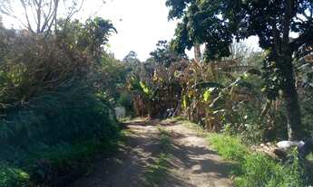 Imagem 4: CASA RESIDENCIAL em NOVA PETRÓPOLIS - RS, Centro