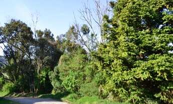 Imagem: TERRENO RESIDENCIAL em NOVA PETRÓPOLIS