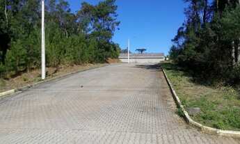 Imagem 3: TERRENO RESIDENCIAL em NOVA PETRÓPOLIS - RS, Juriti