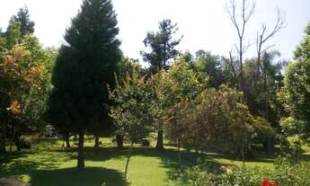 Imagem 5: TERRENO COMERCIAL em NOVA PETRÓPOLIS - RS, Linha Brasil