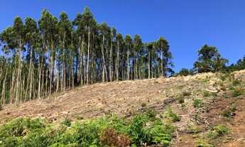 Imagem 3: AREA RURAL em Picada Café - RS, Picada Café