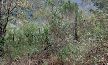 Imagem 2: AREA RURAL em Nova Petrópolis - RS, São José do Cai