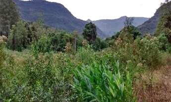 Imagem: AREA RURAL em Nova Petrópolis - RS, São