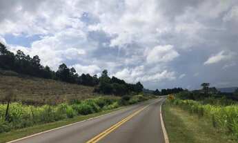 Imagem 5: AREA COMERCIAL em Nova petrópolis - RS, Linha Araripe
