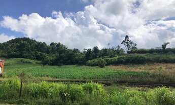 Imagem: AREA COMERCIAL em Nova petrópolis - RS