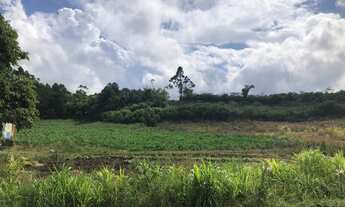 Imagem 2: AREA COMERCIAL em Nova petrópolis - RS, Linha Araripe
