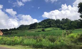 Imagem 3: AREA COMERCIAL em Nova petrópolis - RS, Linha Araripe