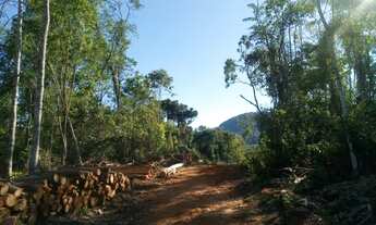 Imagem 6: AREA COMERCIAL em Gramado - RS, Linha Bonita