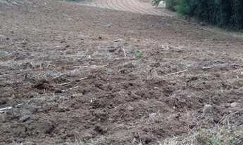 Imagem: AREA RURAL em Galópolis - RS, Barros Pimentel