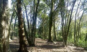 Imagem: TERRENO RESIDENCIAL em Nova Petrópolis