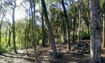 Imagem 3: TERRENO RESIDENCIAL em Nova Petrópolis - RS, Pousada da neve