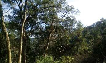 Imagem 2: TERRENO RESIDENCIAL em Nova Petrópolis - RS, Pousada da neve