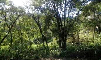 Imagem 6: TERRENO RESIDENCIAL em Nova Petrópolis - RS, Pousada da neve