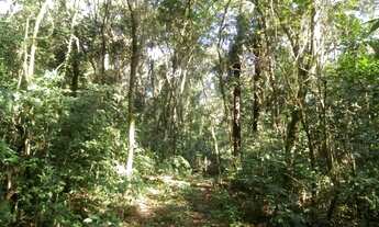 Imagem: Area RURAL em Linha Nova - RS, Rincão da