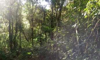 Imagem 2: Area RURAL em Linha Nova - RS, Rincão da Serra