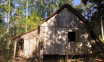 Imagem: AREA RURAL em Nova Petrópolis - RS, Rua