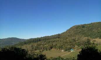 Imagem 4: SITIO RURAL em Picada Café - RS, Floresta