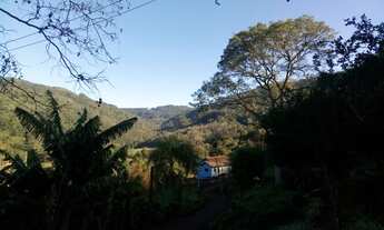 Imagem 5: SITIO RURAL em Picada Café - RS, Floresta