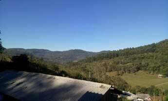 Imagem: SITIO RURAL em Picada Café - RS, Floresta